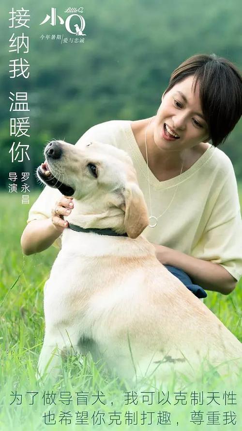 尼斯大学Diploma in Public Administration